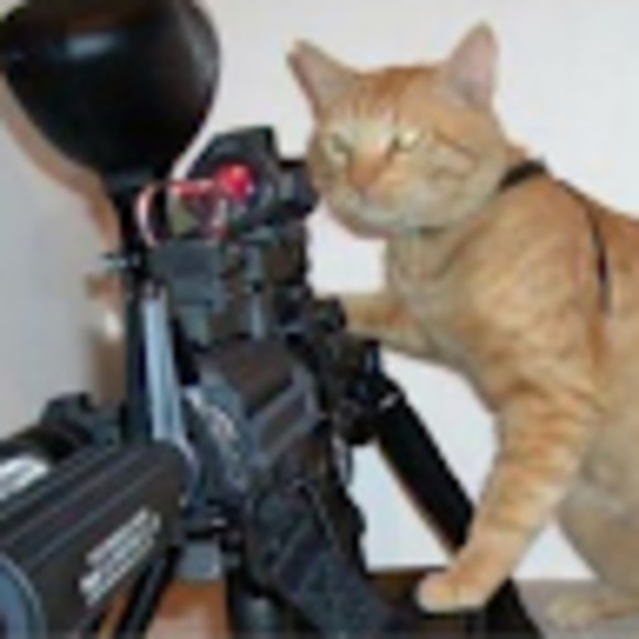 Meet your Posher, Christina - Picture 1 of 1